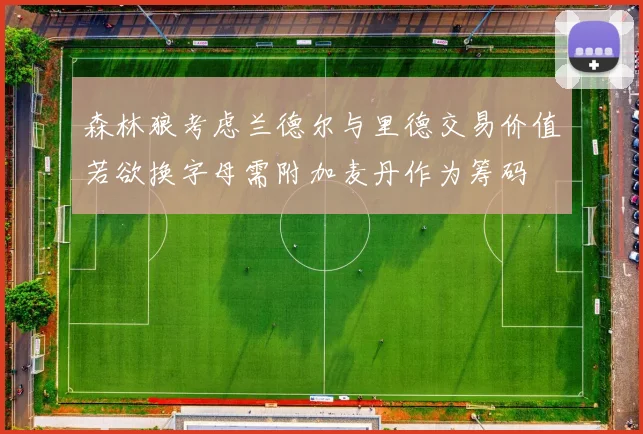 森林狼考虑兰德尔与里德交易价值若欲换字母需附加麦丹作为筹码