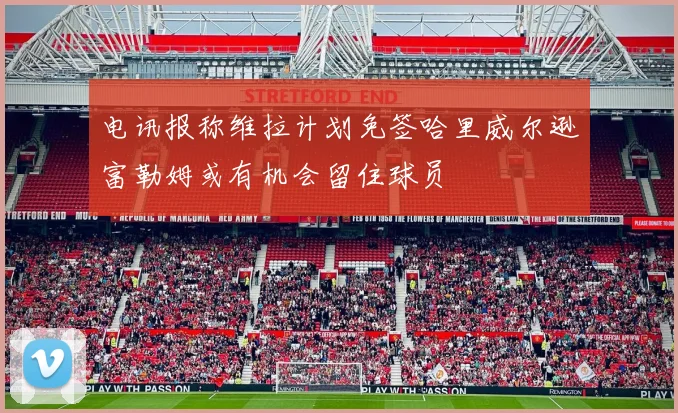 电讯报称维拉计划免签哈里威尔逊富勒姆或有机会留住球员