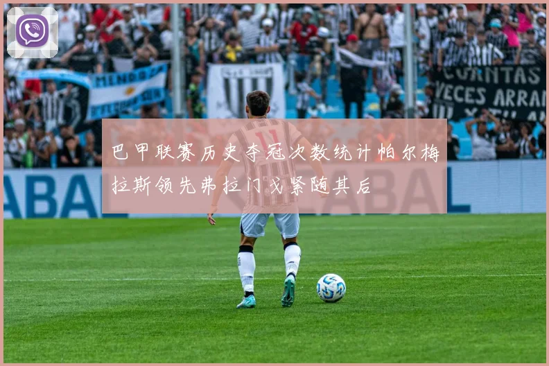 巴甲联赛历史夺冠次数统计帕尔梅拉斯领先弗拉门戈紧随其后