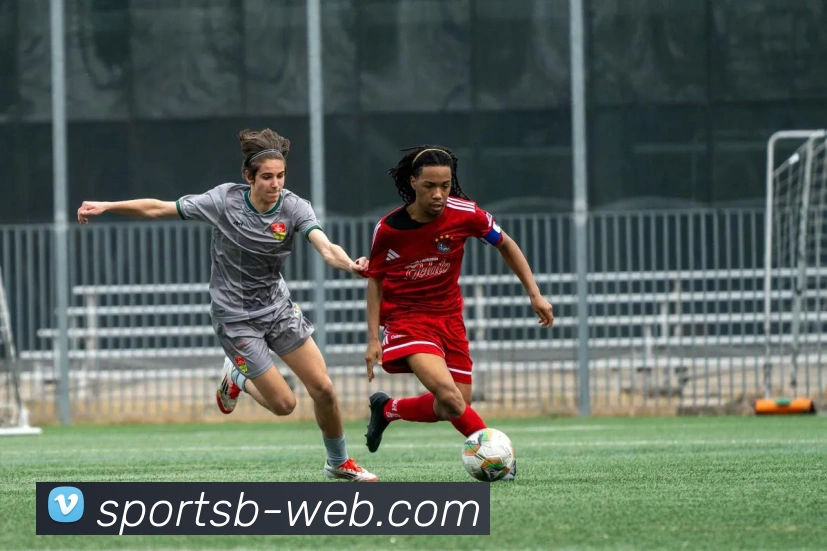 多媒体互动体验